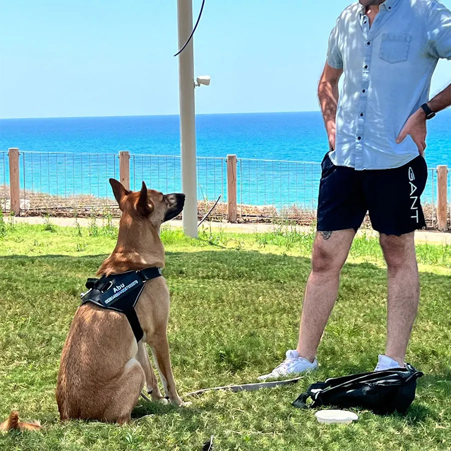 SafeTag™ Personalized Dog Harness