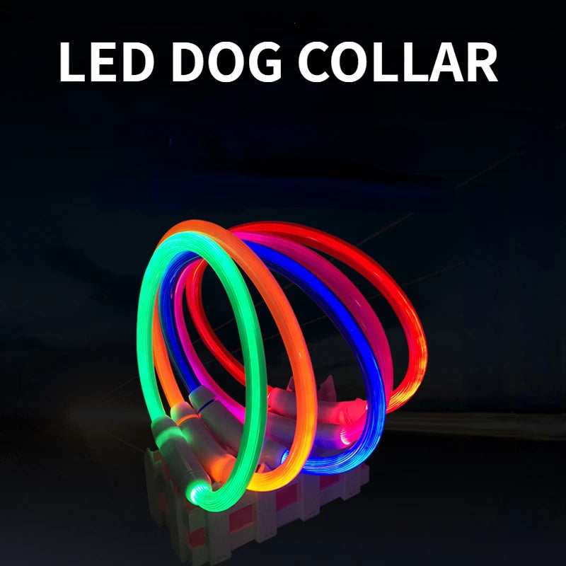 Luminous Safety Collar™