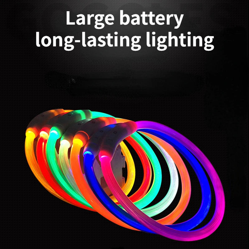Luminous Safety Collar™