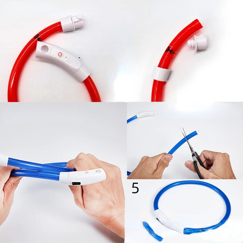 Luminous Safety Collar™