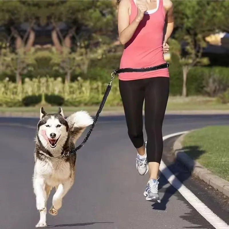 RunBuddy™