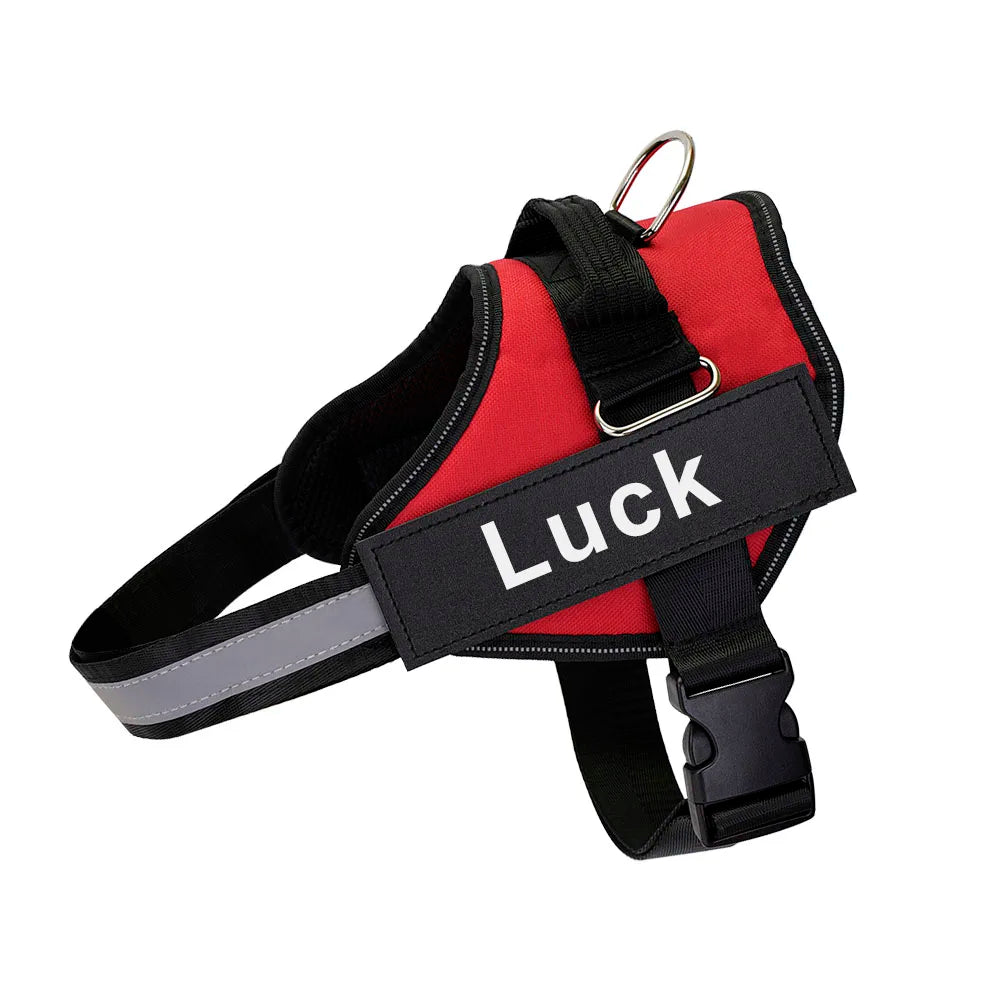 SafeTag™ Personalized Dog Harness