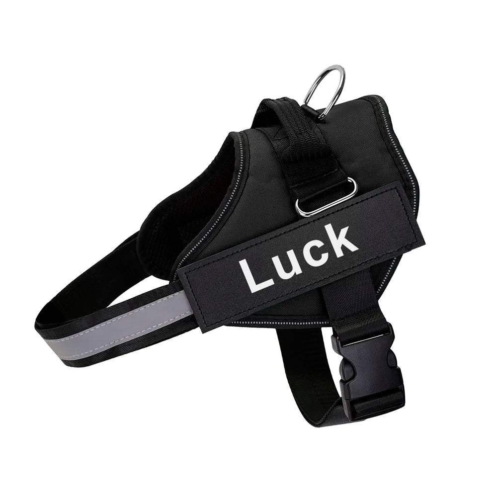 SafeTag™ Personalized Dog Harness