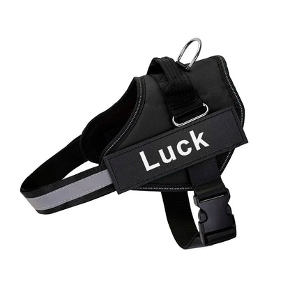 SafeTag™ Personalized Dog Harness