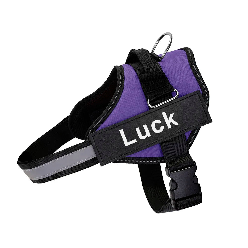 SafeTag™ Personalized Dog Harness
