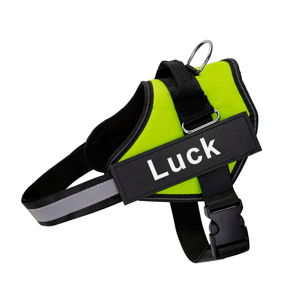 SafeTag™ Personalized Dog Harness