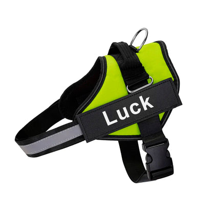 SafeTag™ Personalized Dog Harness