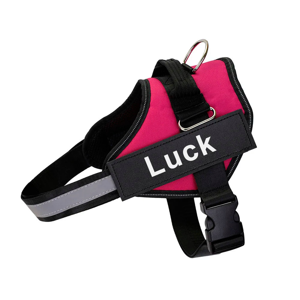 SafeTag™ Personalized Dog Harness