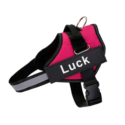 SafeTag™ Personalized Dog Harness