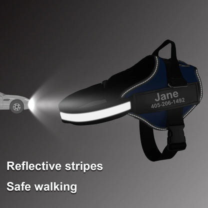SafeTag™ Personalized Dog Harness