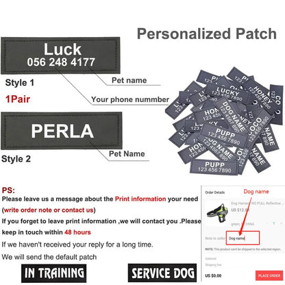 SafeTag™ Personalized Dog Harness