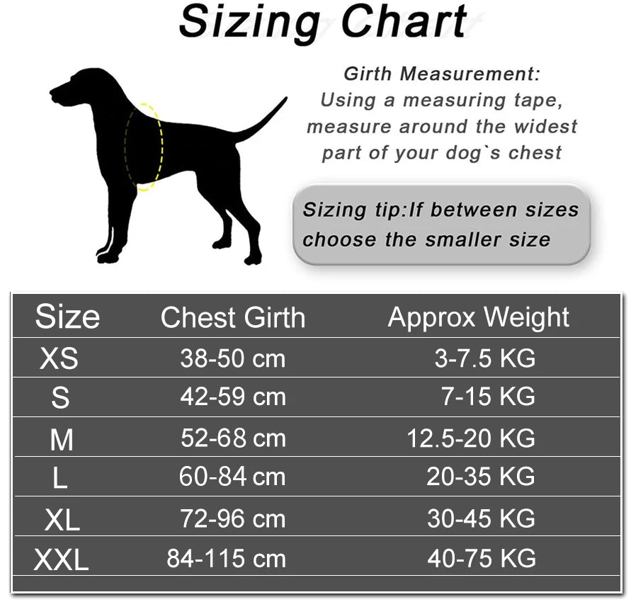 SafeTag™ Personalized Dog Harness