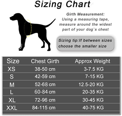SafeTag™ Personalized Dog Harness
