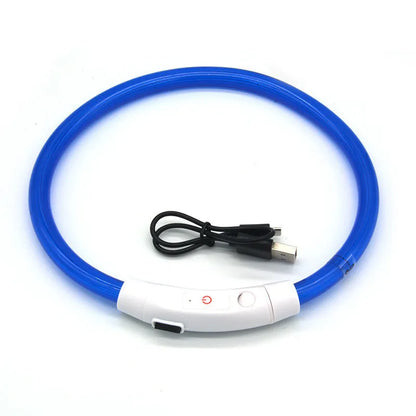 Luminous Safety Collar™