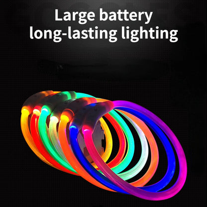 Luminous Safety Collar™