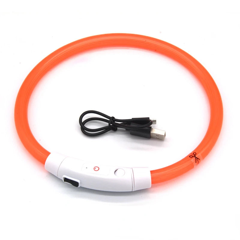 Luminous Safety Collar™