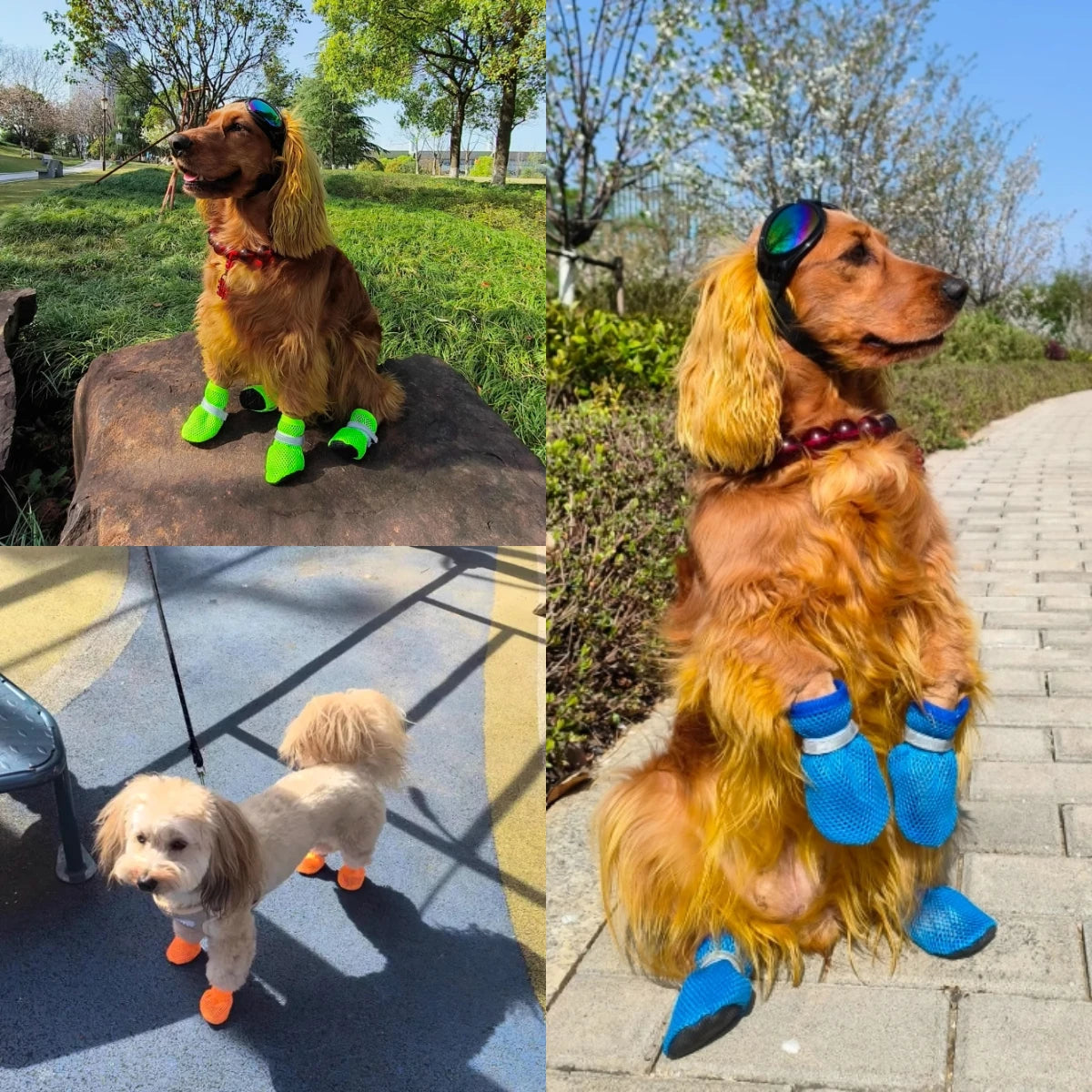 Adventure-Ready Breathable Dog Boots™